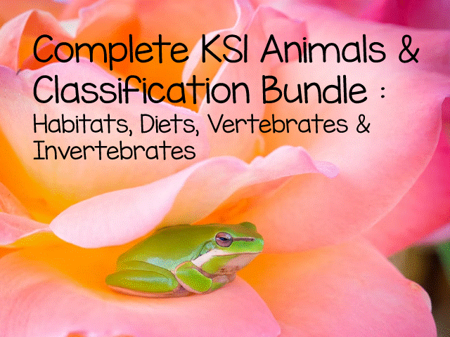 Complete KS1 Animals & Classification Bundle : Habitats, Diets, Vertebrates & Invertebrates