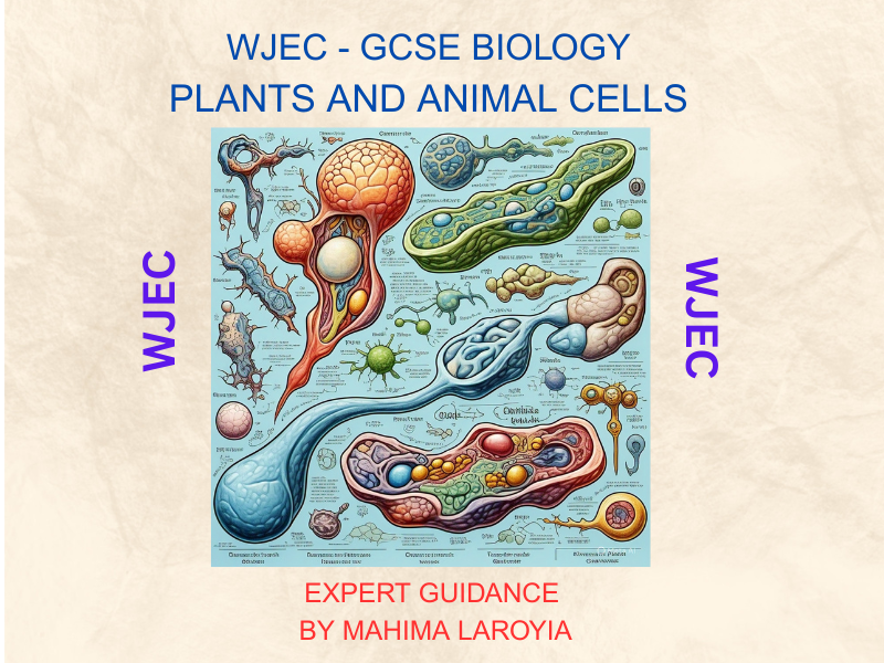 WJEC -  GCSE Biology: Plants and Animal Cells