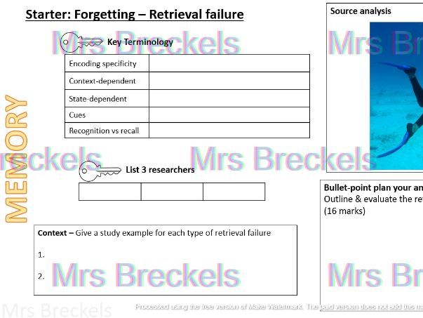 Memory (AQA A-level Psychology 2025-) - Recap starter/do now worksheets with answers