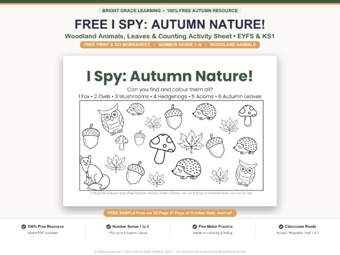 FREE I Spy Autumn Nature Sheet | Woodland Animals Count & Colour EYFS KS1