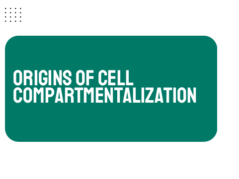 AP Biology Unit 2: Origins of Cell Compartmentalization