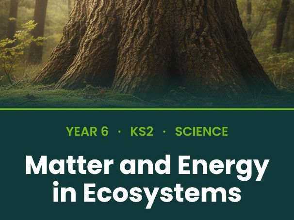 Y6 Science: Food Chains, Webs & Energy in Ecosystems | Full Unit