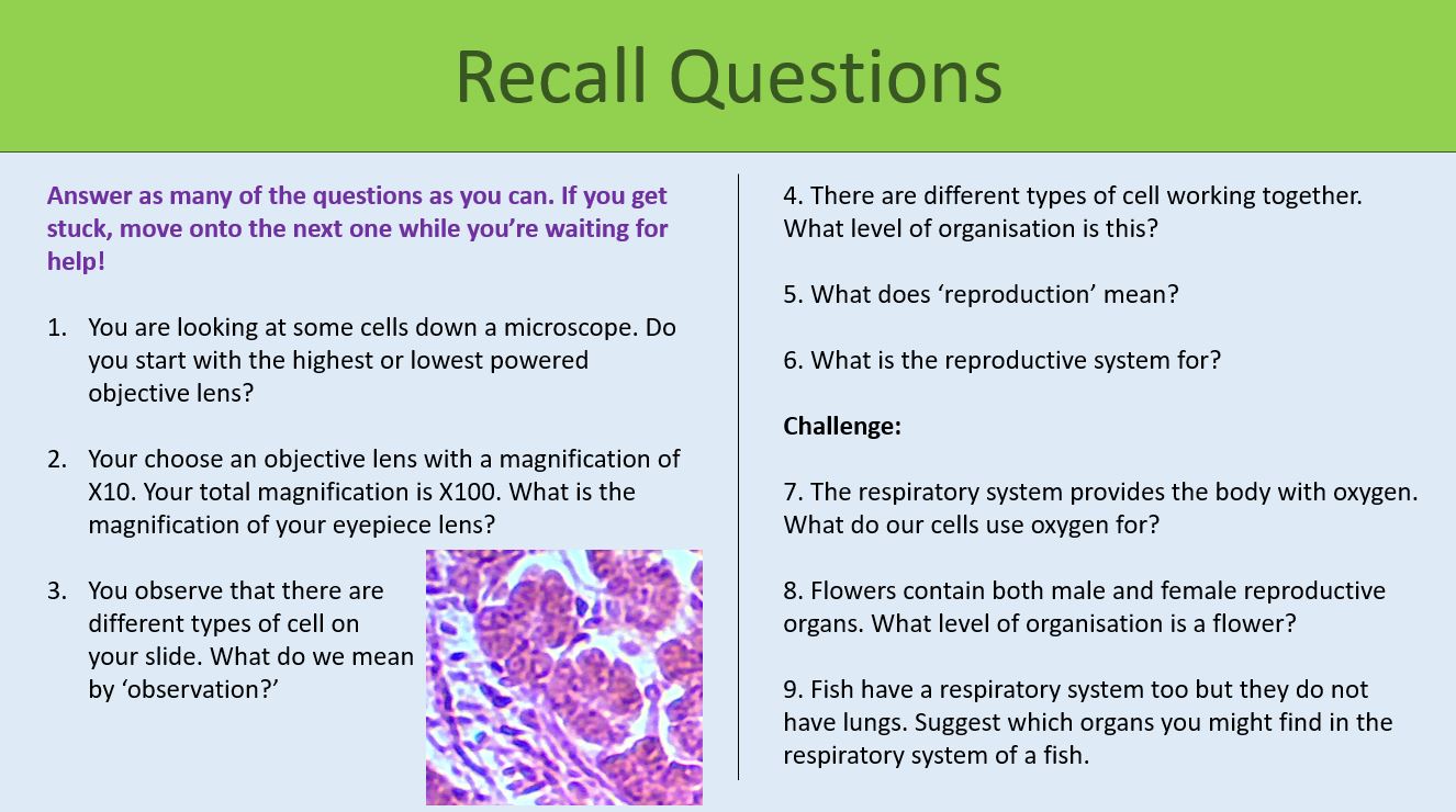 KS3 Year 7 Levels of Organisation Teaching Resources
