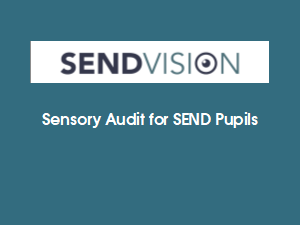 Sensory Audit for SEND Pupils