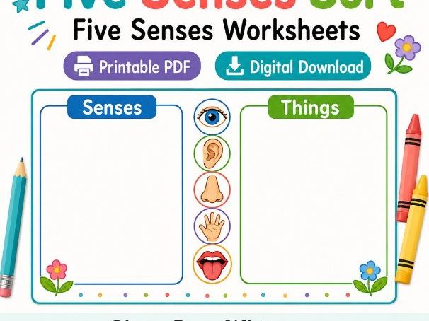 Five Senses Sort