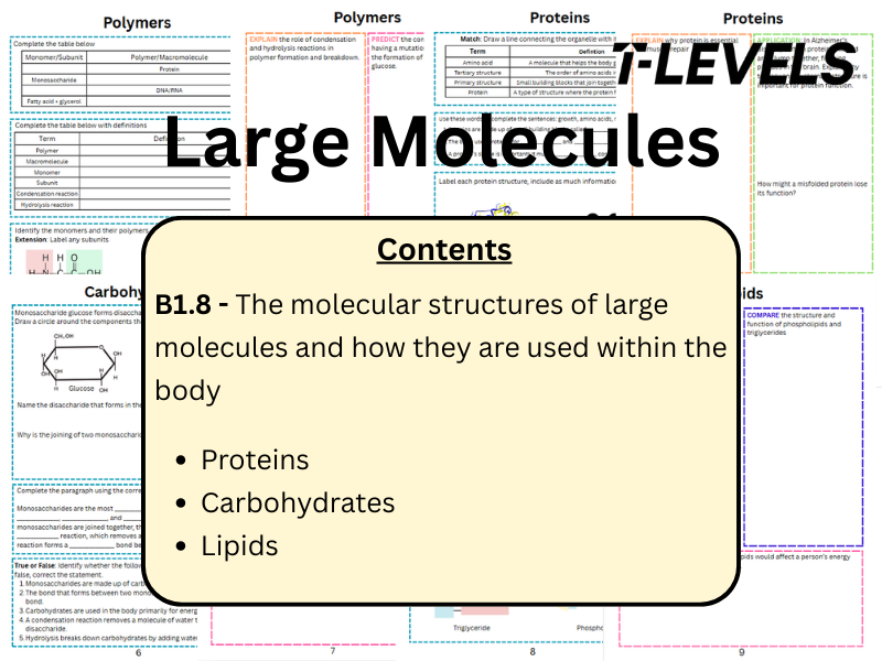 T Level Health Large molecules workbook