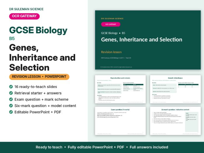 OCR Gateway GCSE Biology B5 Genes, Inheritance & Selection Revision Lesson