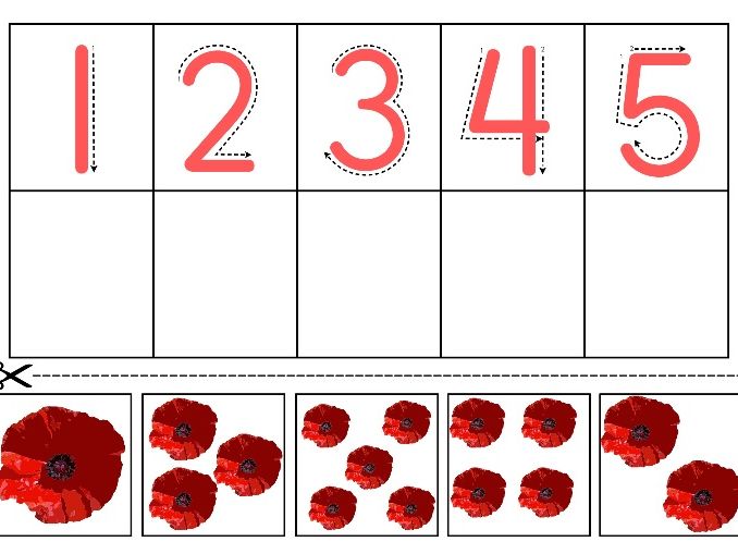 Remembrance Poppy Numeracy