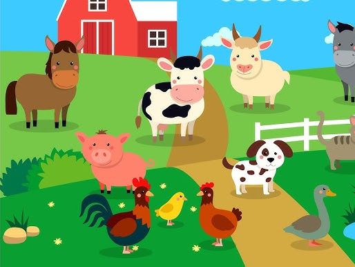 Primary Spanish animals and colours listening activity