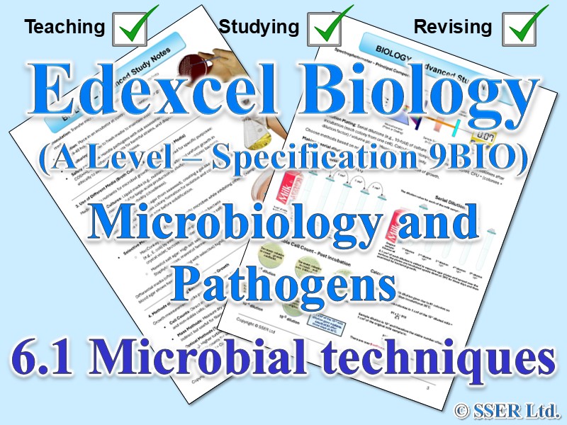 BIOA_EDX Topic Notes: 6.1 Microbial techniques