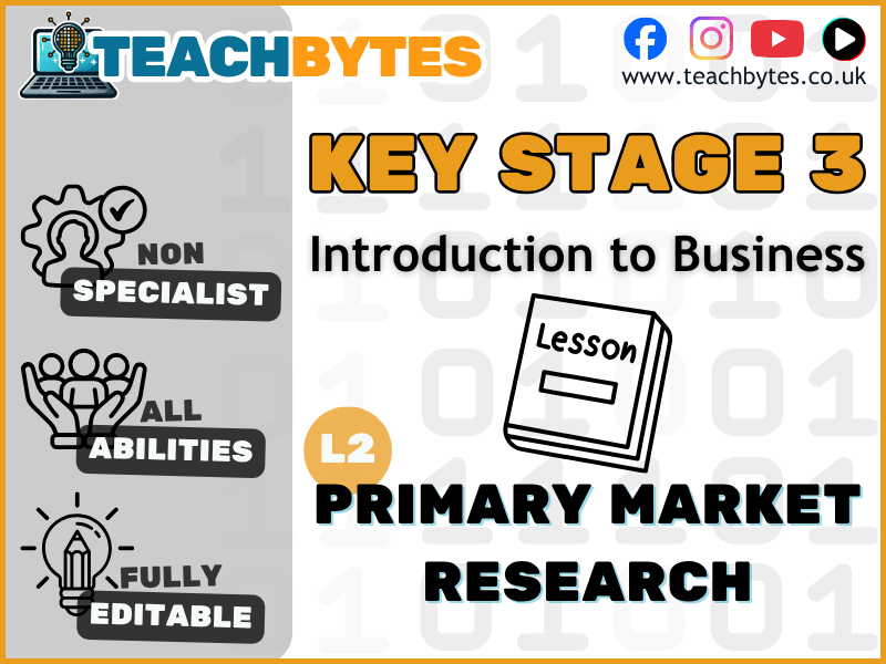 Lesson 2: Primary Market Research Lesson