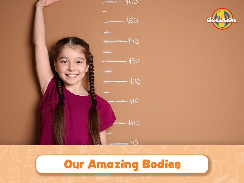 Year 2 - Developing Bodies