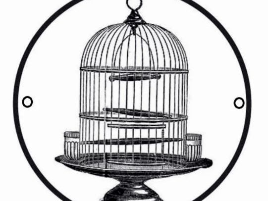 Thaumatrope Template – Pre-Designed & Blank Versions (KS3 Art & Design Resource)