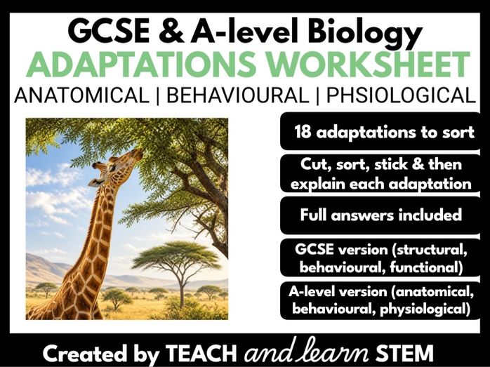 Adaptations Worksheet | Anatomical Behavioural Physiological | GCSE or A-level Biology