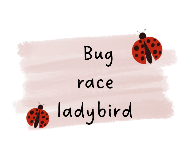 Bug race ladybird