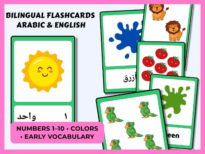 Arabic–English Numbers & Colors Set