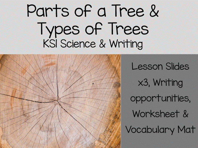 Parts of a Tree & Types of Trees | Coniferous vs Deciduous | KS1 Science Lesson Pack