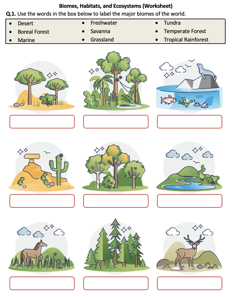 Biomes Habitats And Ecosystems Worksheet Printable And Distance 