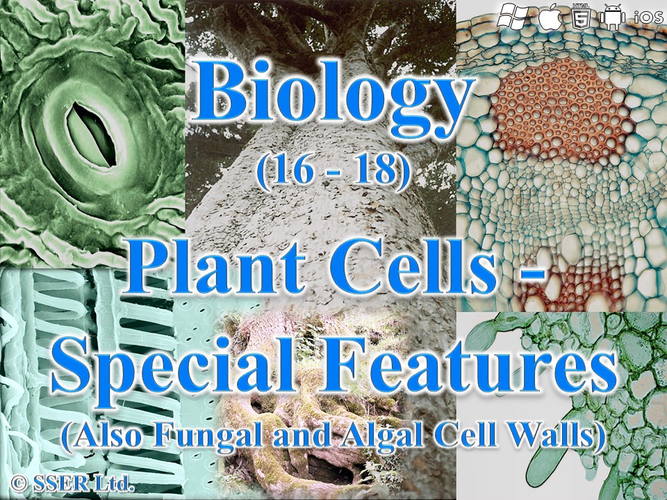 BioA_3.2.1.1 Eukaryotic Cells 3 - Plant Features