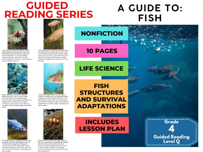 Year 5 Guided Reading Level Q Fish with Lesson Plan