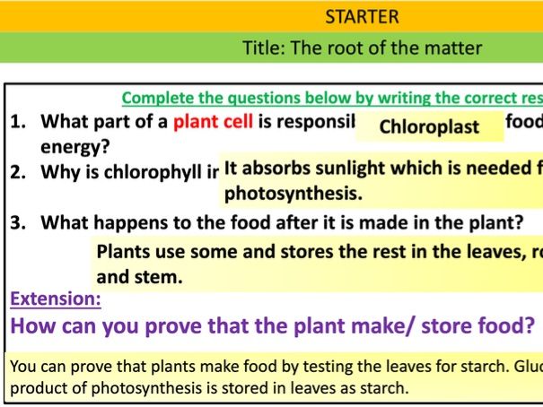 KS3 Roots and Transport
