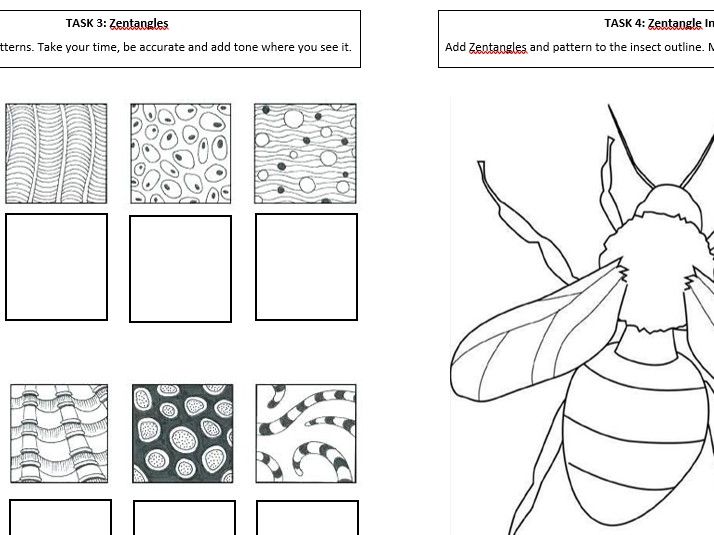 Art and Design - Cover Worksheets/Skills Recapping. Insects theme