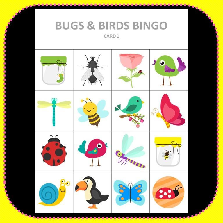 Bugs and Birds Bingo Game Insects Teaching Resources