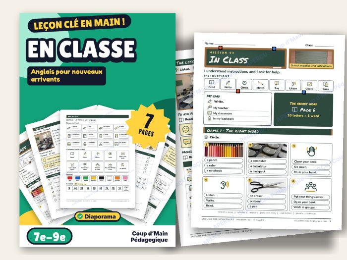 ESL Newcomer Mini Unit Grade 7-9 In Class | Mission 3