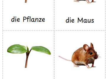 Montessori 3-Teil-Karten Nahrungskette (Terrestrische)