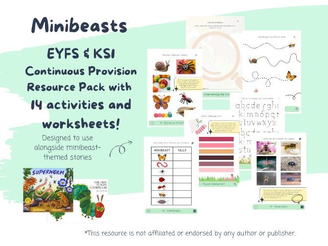 Minibeasts Continuous Provision Resource Pack - EYFS Summer (14 Activities)