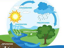 Explanation text - The water cycle (2 week unit)