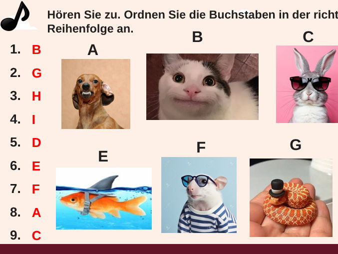 Year 7 German Starter Pack