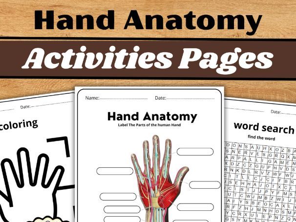 Hand Anatomy|Hand anatomy worksheet|Hand muscles|Human body systems