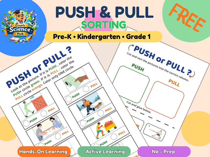 Push and Pull Sorting Activity - Kindergarten (FREE)