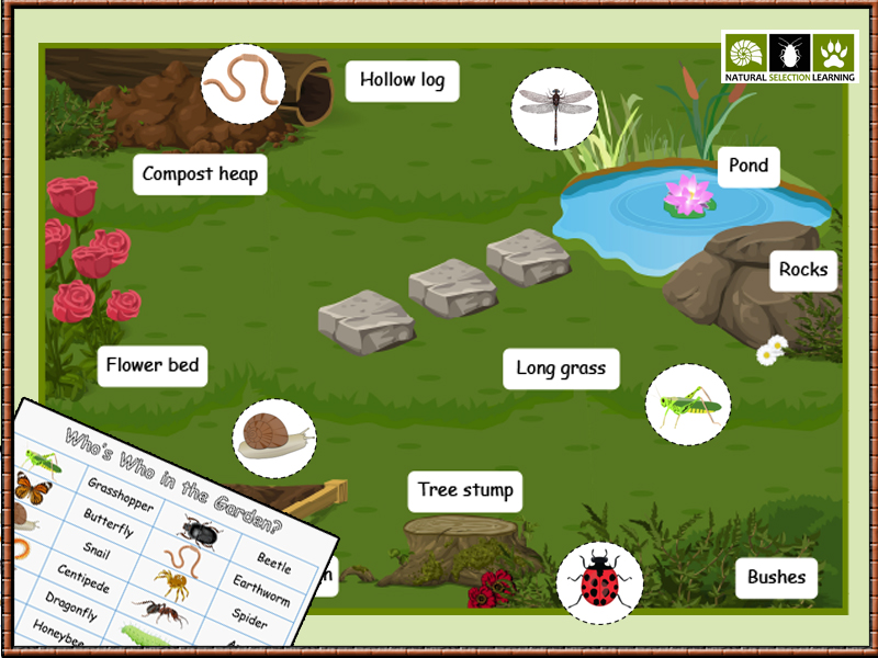 What Is A Micro Habitat Ks1