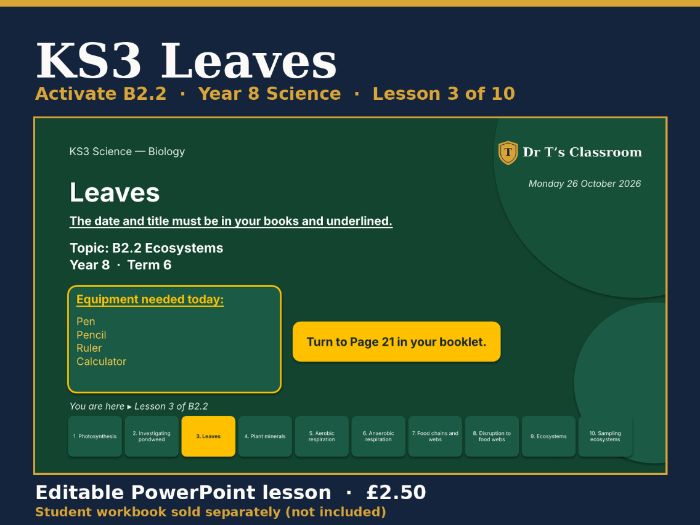 KS3 Activate B2.2 Ecosystems: Leaves