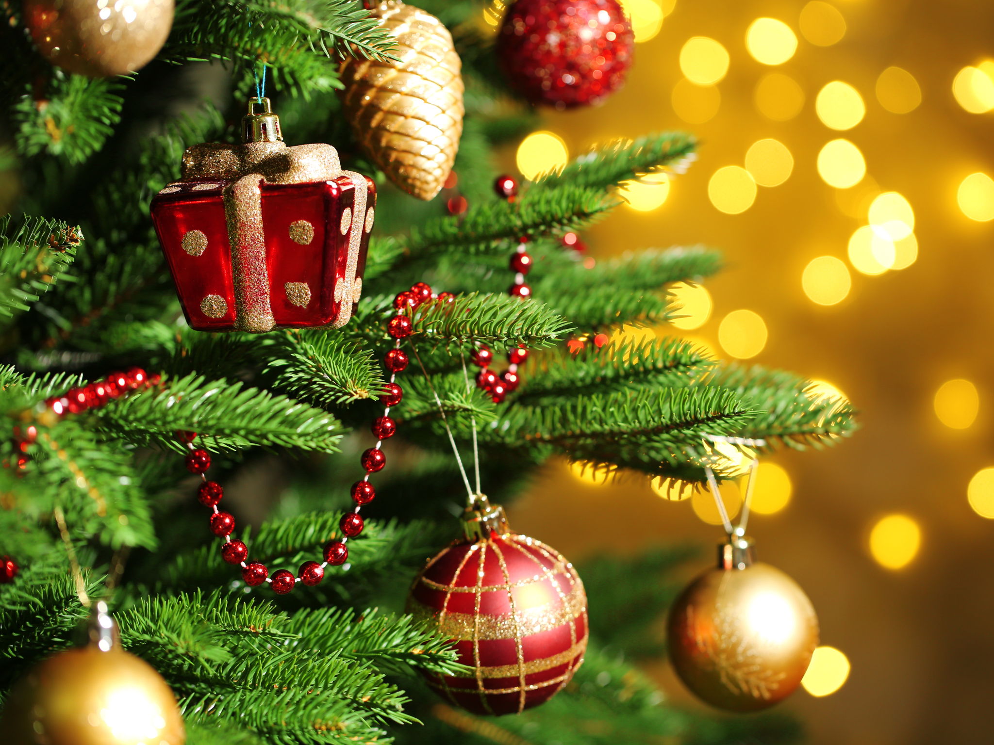 Christmas Bundle Spanish French KS3 KS4 AQA Teaching Resources