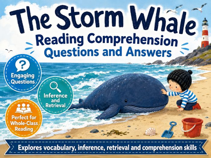 The Storm Whale - Comprehension - KS1