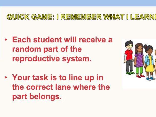 Reproductive System Review Game
