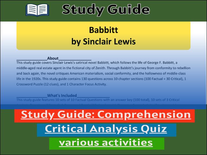 Babbitt by Sinclair Lewis, study guide & Activities