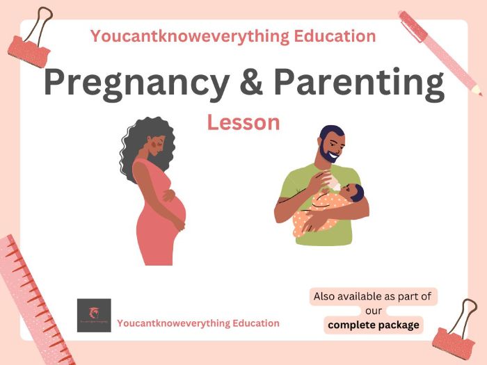 Pregnancy and Parenting PSHE Lesson