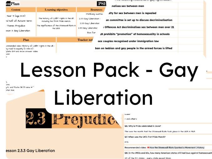 2.3.3 Gay Liberation Lesson Pack