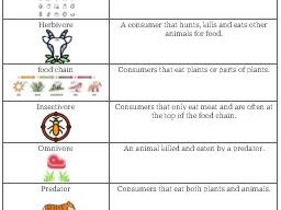 Food Chains Vocabulary Matching
