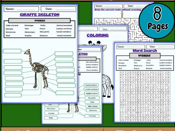 Giraffe Skeleton Worksheet Pack – Labeling, Coloring, Word Search & Anatomy