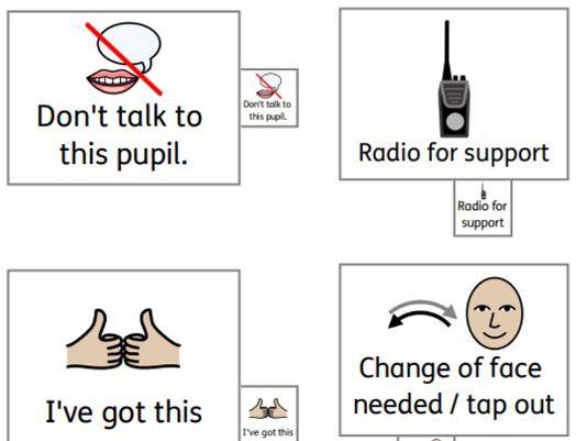 SEN Adult to Adult Communication Visuals