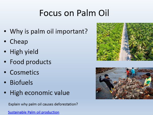 AQA GCSE Geography Causes and Effects of Deforestation in Malaysia