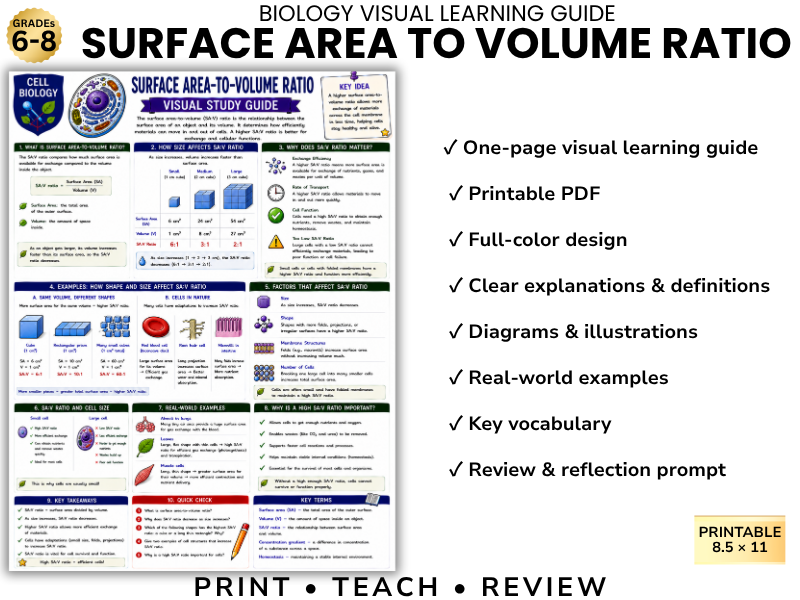 SURFACE AREA TO VOLUME RATIO | Cell Biology Visual Learning Guide | Grade 8 & Middle School Science