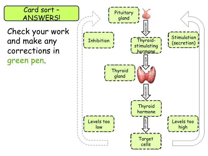 11.4 The role of negative feedback GCSE (Grade 1-9) Biology