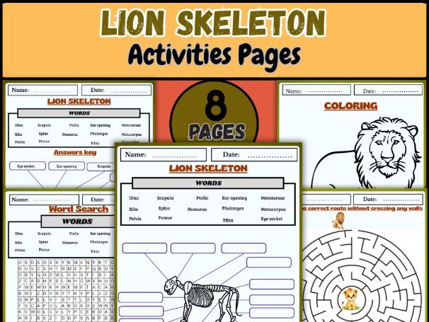 Lion Skeleton Worksheets – Labeling, Coloring, Word Search & Animal Anatomy