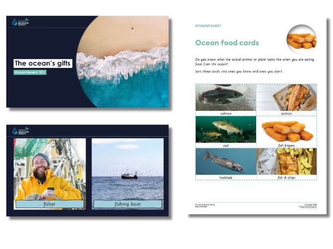 The ocean's gifts KS1 full lesson